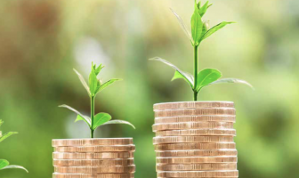 Impuestos verdes: Desafíos para el futuro