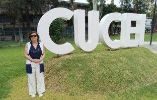 Mónica Soto participó en el X Congreso Iberoamericano de Educación Matemática