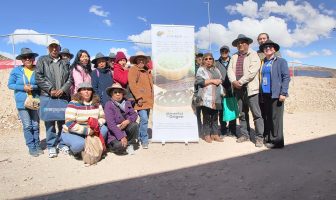 Proyecto ejecutado por la FEN: Reactivarán comité del Sello de Origen que protege el orégano de Putre